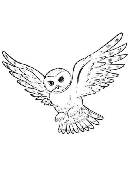 Скетч Сова Гарри Поттера