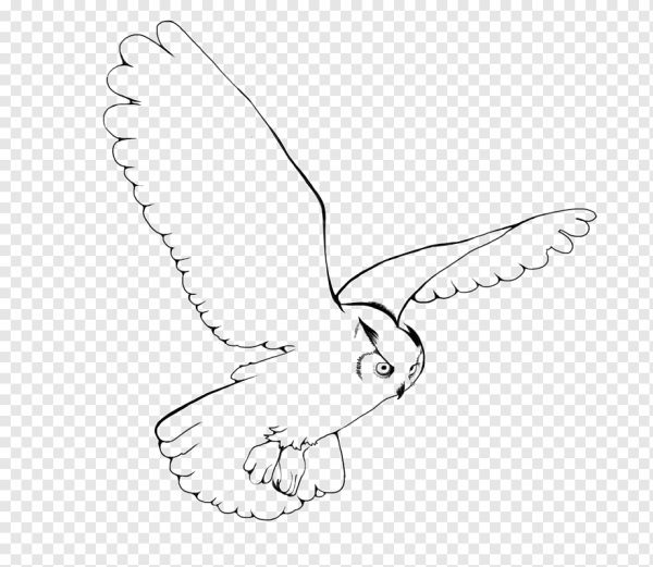 Сова в полете раскраска