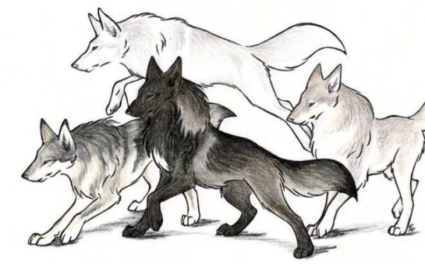 WILDSPIRITWOLF волки