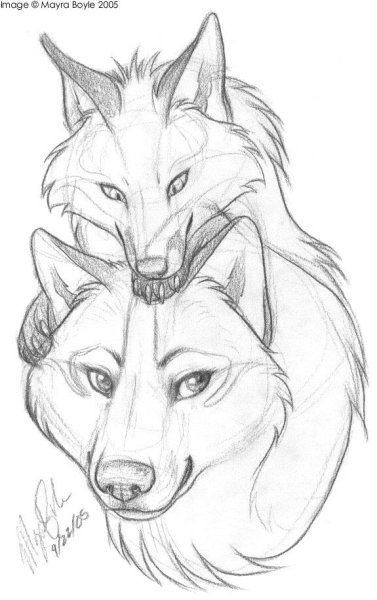 Лиса карандашом для срисовки