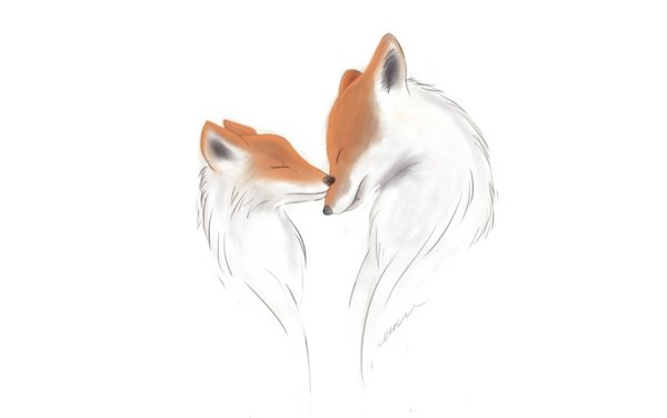 Влюбленные лисы рисунок