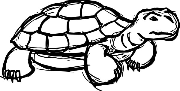 Рисунок черепахи карандашом для срисовки