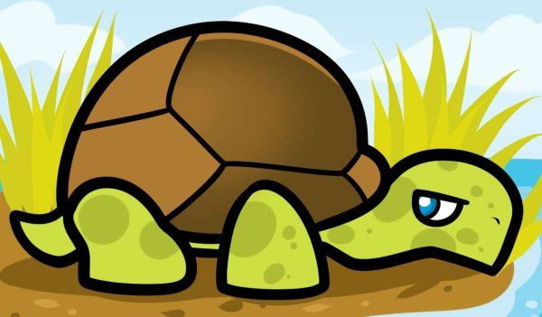 Черепаха для срисовки легко