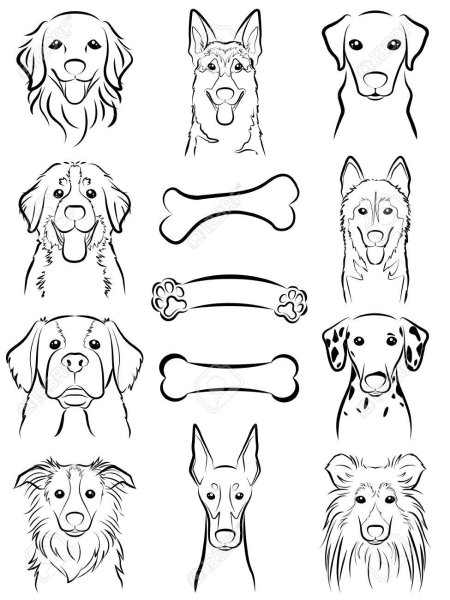 Морда собаки рисунок