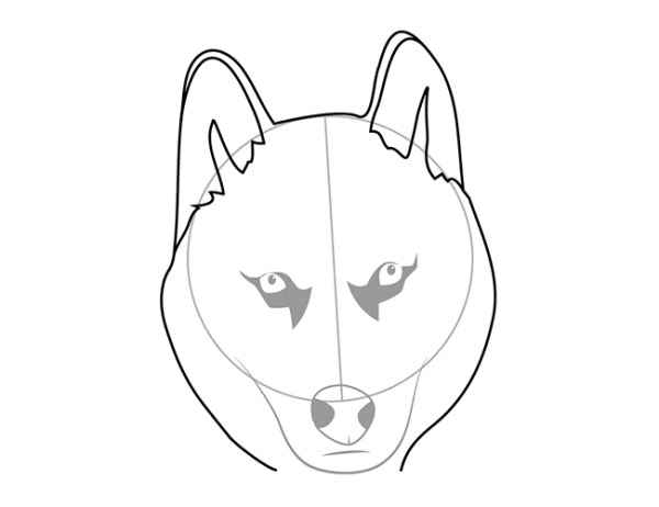 Морда хаски рисунок