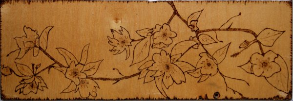 Контурное Выжигание по дереву