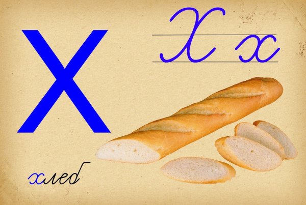 Азбука в картинках раскраска