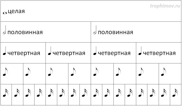 Ноты целые половинные четвертные восьмые