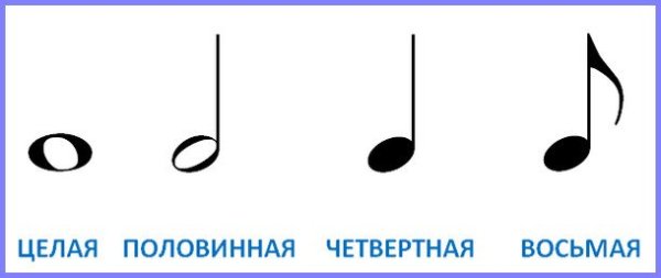 Целая Половинная четвертная восьмая