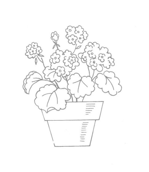 Карандаши цветные герань