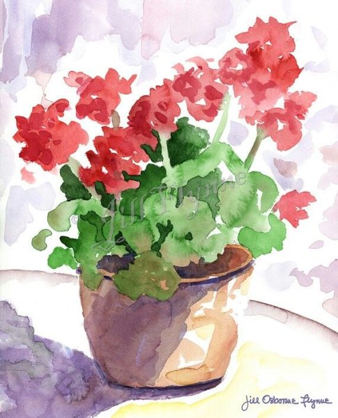 Ветреница раскраска для детей