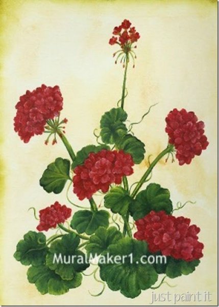 Пеларгония мамины розы