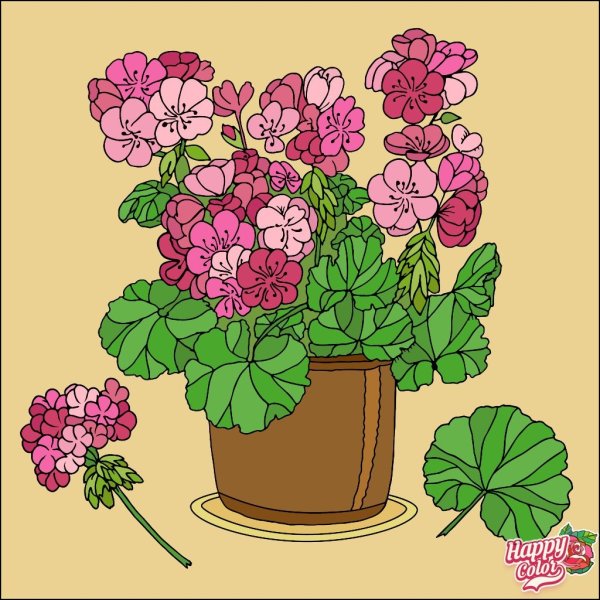 Раскраска комнатные растения для детей