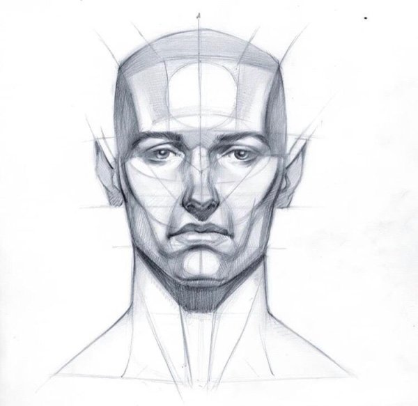 Построение лица