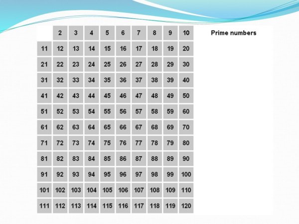 Простые и составные числа