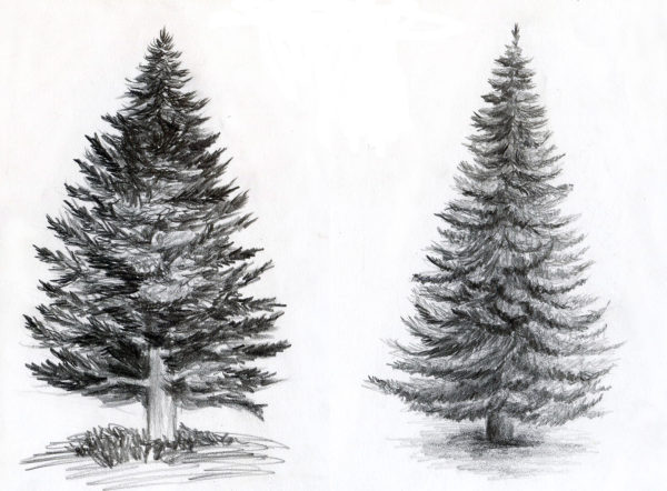 Елка зарисовка