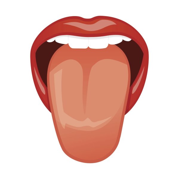 Язык человека рисунок