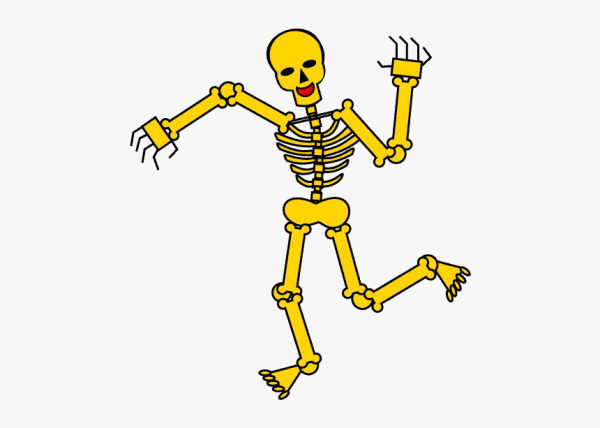 Skeleton для детей