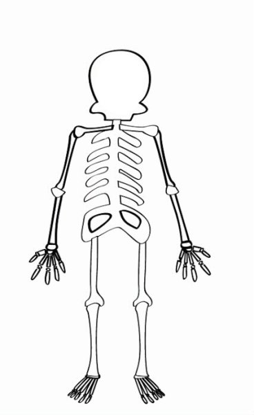 Скелет раскраска для малышей