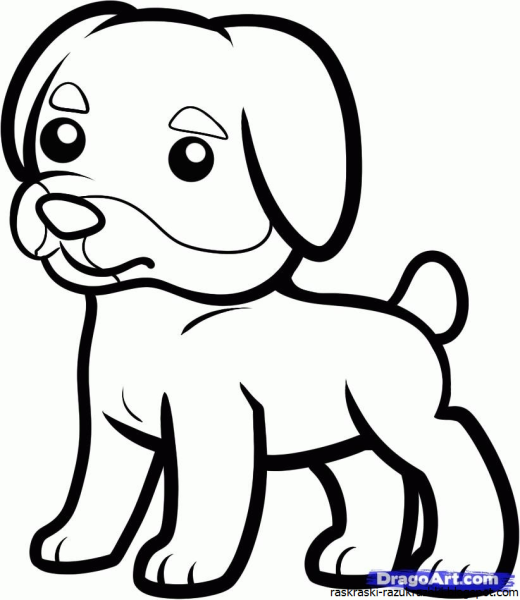 Собачка рисунок карандашом