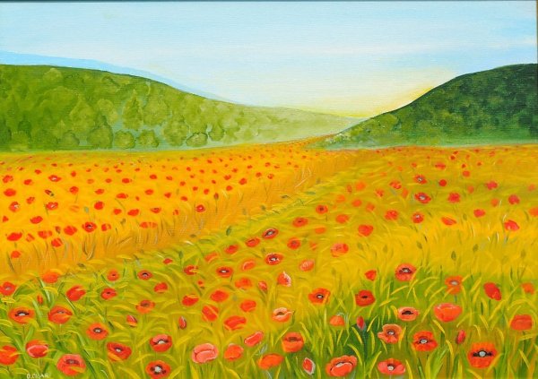 Нарисованное поле