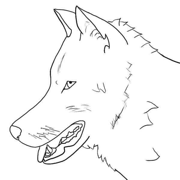 Голова волка раскраска
