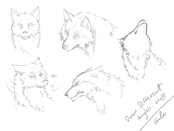 Поэтапное рисование мордочки лисы