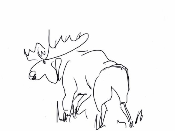 Раскраска Лось для детей 3-4 лет