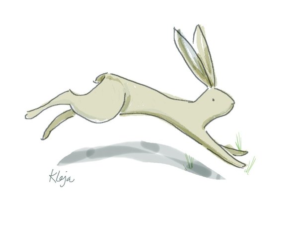 Заяц в прыжке контур