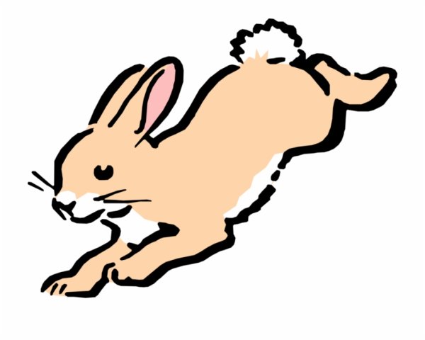 Бегущий заяц раскраска для детей