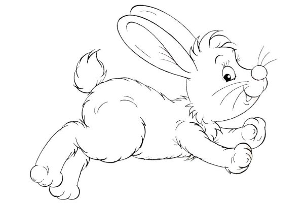 Нарисовать животное в движении