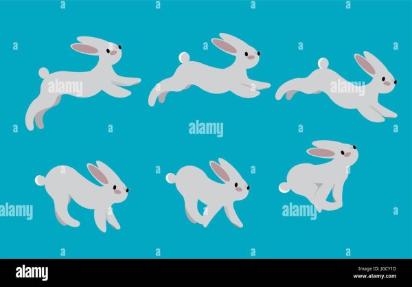 Заяц Русак черно белый