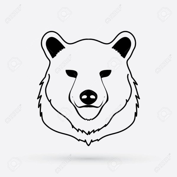 Мордочка медведя для раскрашивания