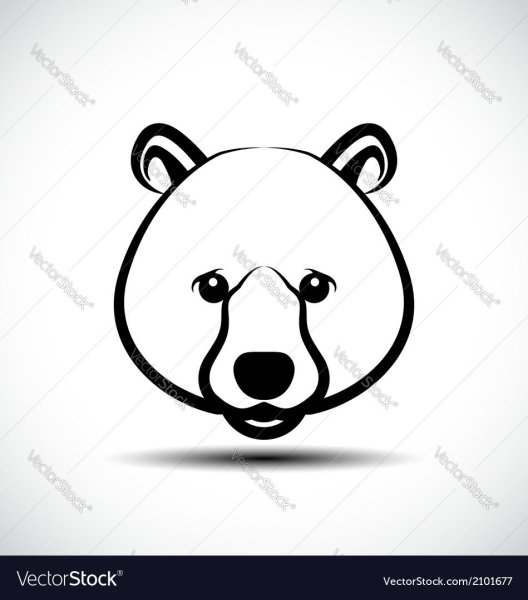 Рисование морды медведя