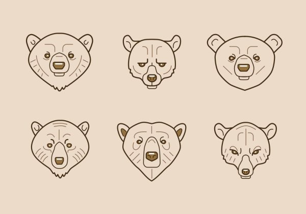 Мордашка медвежонка