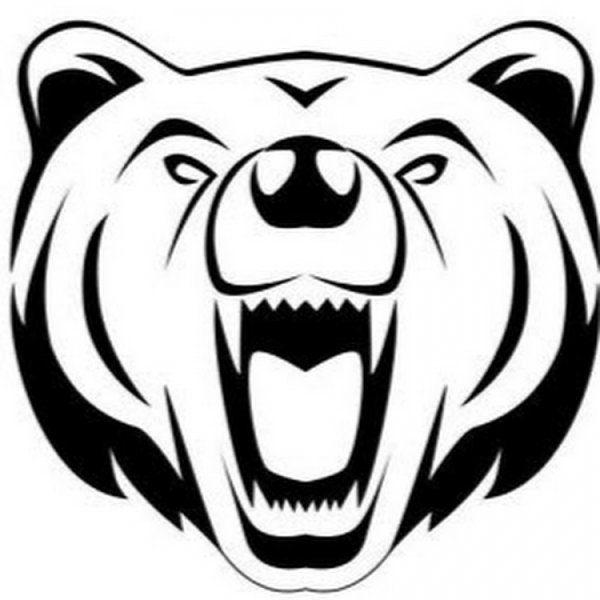 Контур морды медведя