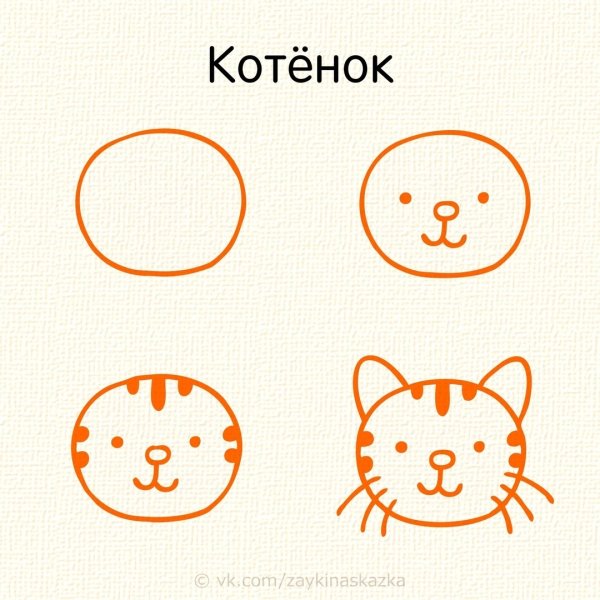 Мордочки котиков легкие для рисования