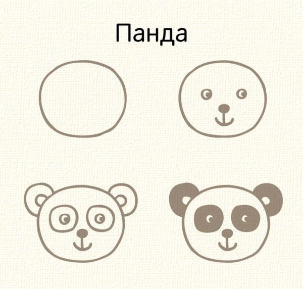 Мордочки животных рисунки легкие