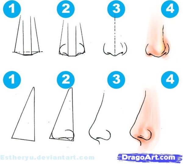 Поэтапные уроки рисования носа