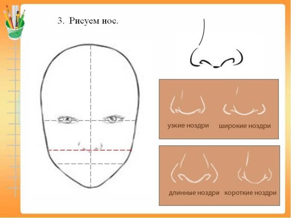 Схема поэтапного рисования нос