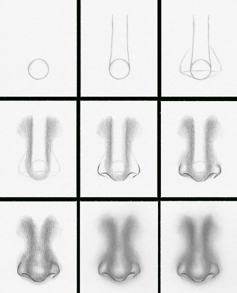 Поэтапное рисование носа