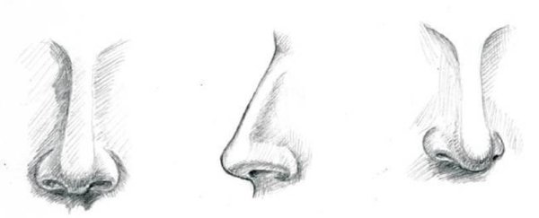 Нарисовать нос