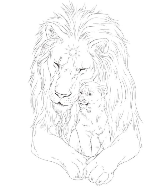 Раскраски львы и львята