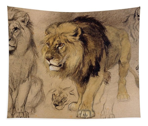 Лев карандашом