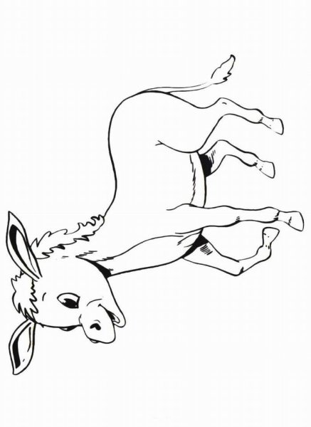 Осёл и Соловей басня иллюстрация раскраска