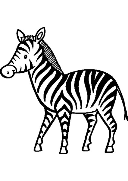 Пиро6 Зебра