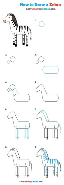 Нарисовать зебру легко