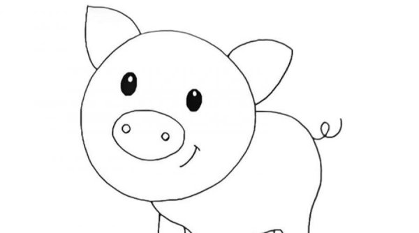 Свинья рисунок легкий