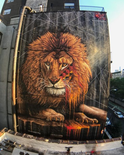 Лучшие рисунки мира