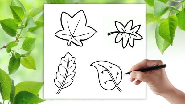 Рисунки с надписями для срисовки